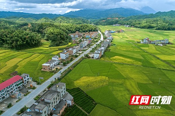 建议先扫读标题与摘要