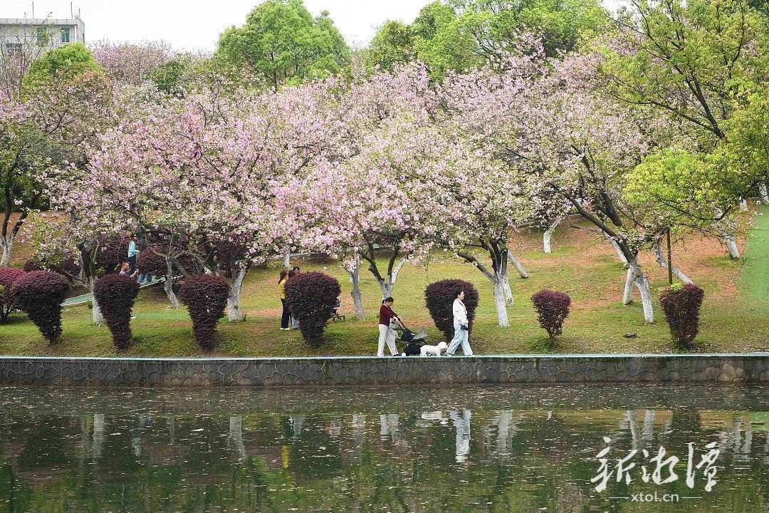 中共湘潭市委宣传部 湘潭市文明网 未