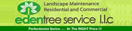 eden tree service scottsdale AZ